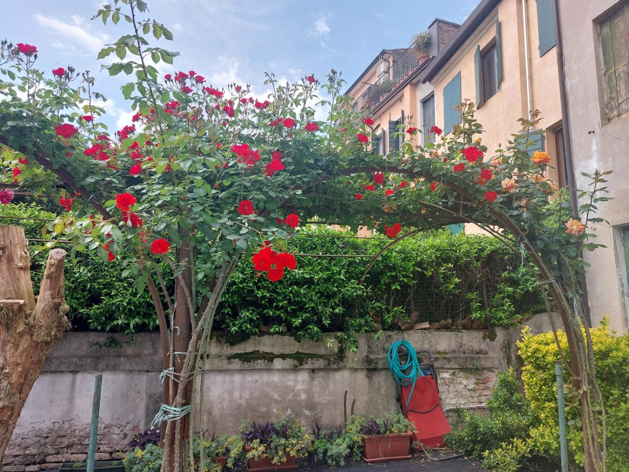 Ferienwohnung Elena Casa Turistica Padua Exterior foto